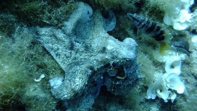 dscf0030