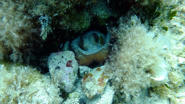 dscf0046