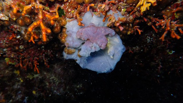 dscf0063