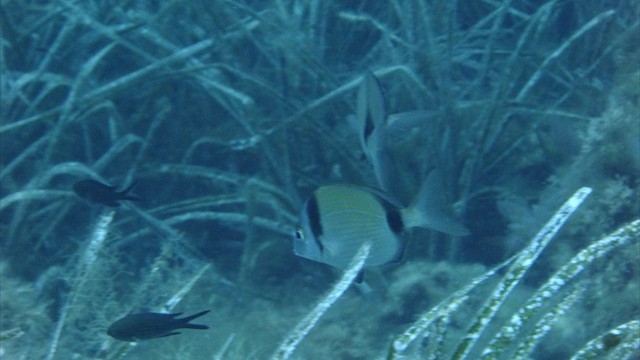 dscf0065