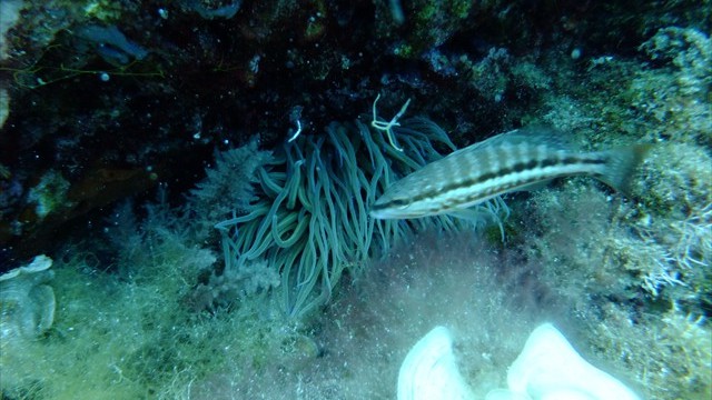 dscf0069