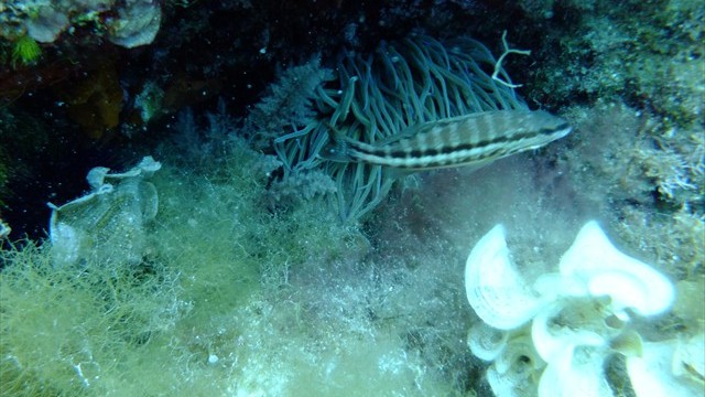 dscf0070