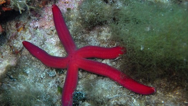 dscf0081