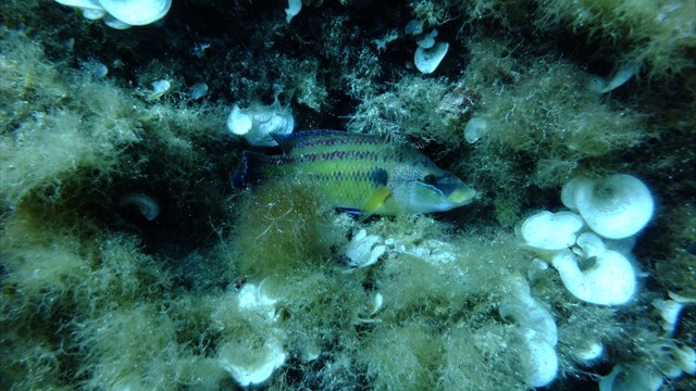 dscf0092
