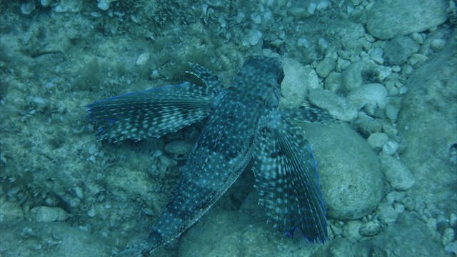 dscf0124