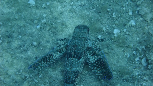 dscf0125