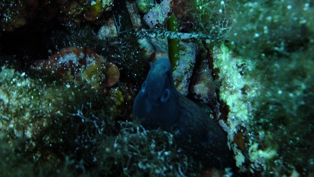 dscf0138