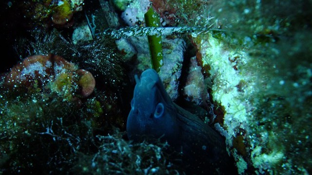 dscf0139