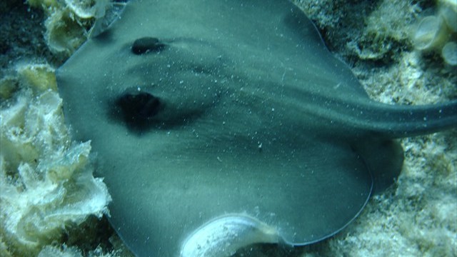 dscf0154