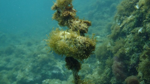 dscf0333