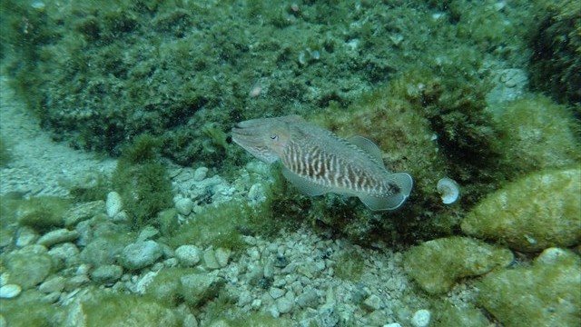 dscf0344