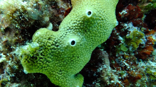 dscf0357