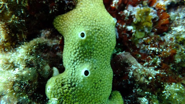 dscf0358