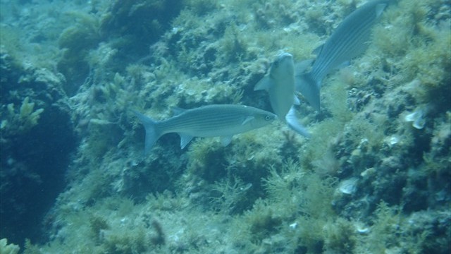dscf0364