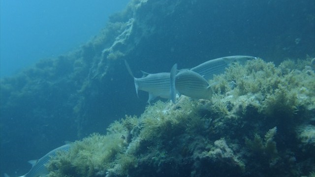 dscf0365