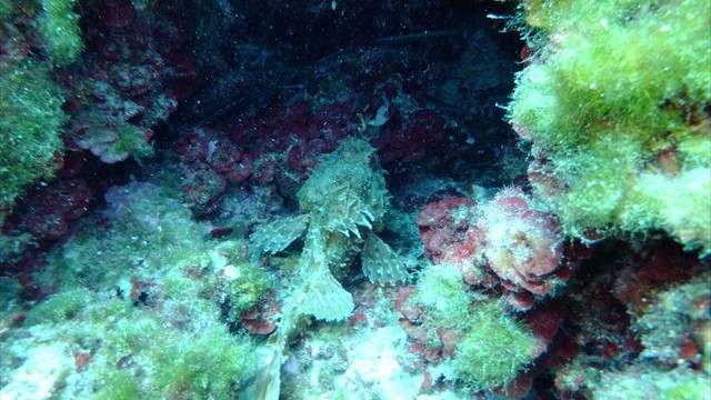 dscf0786