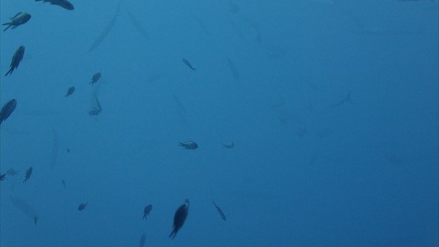 dscf0788