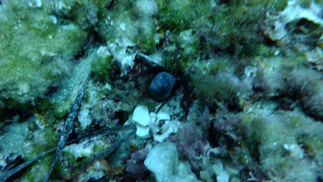 dscf0794