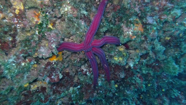 dscf0795