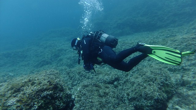 dscf0798