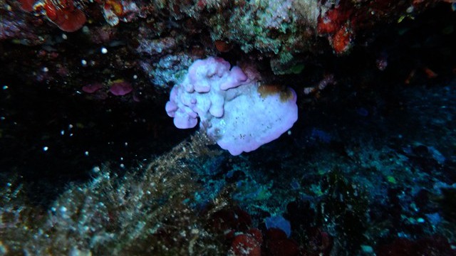 dscf0822