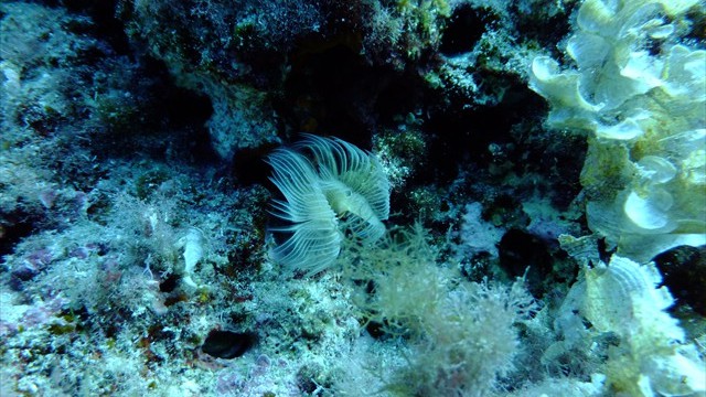 dscf0823