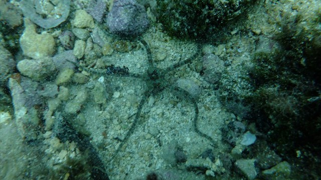 dscf0827