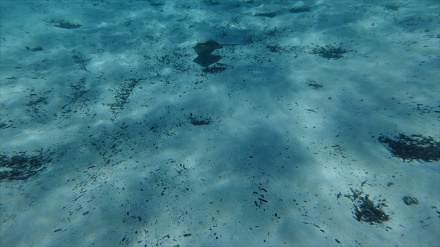 dscf1022