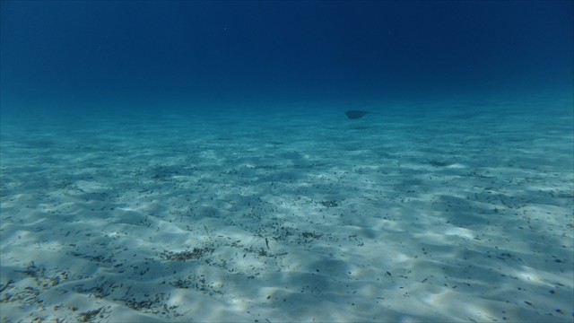 dscf1028