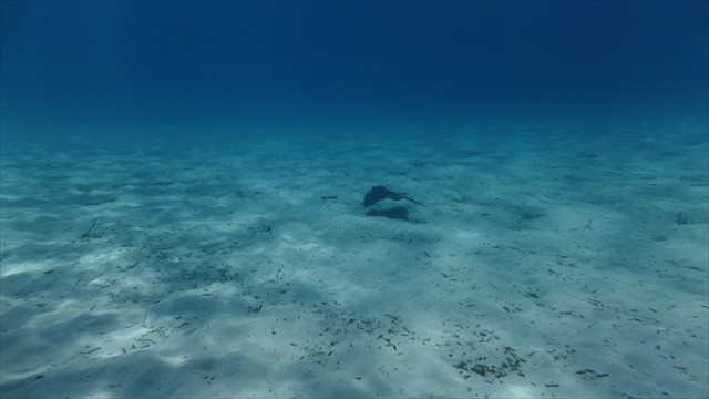 dscf1030