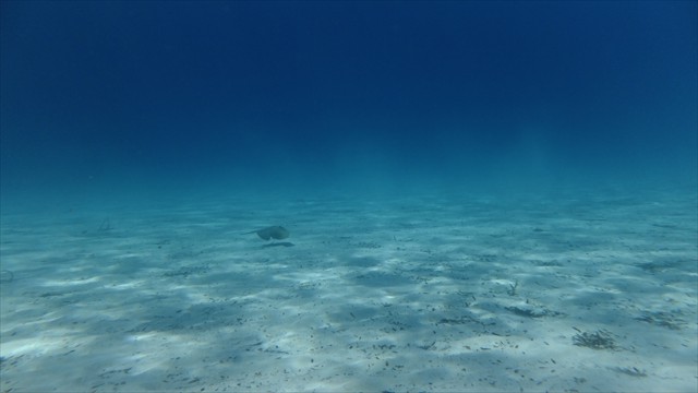 dscf1031