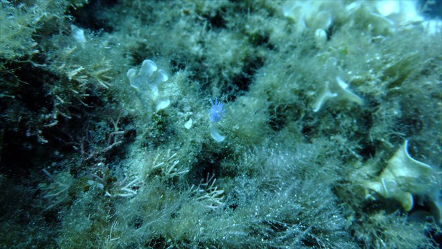dscf1043
