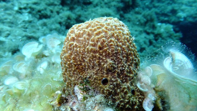 dscf1096