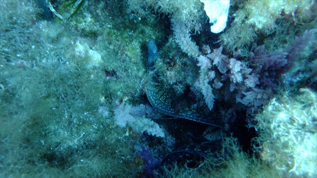 dscf1098