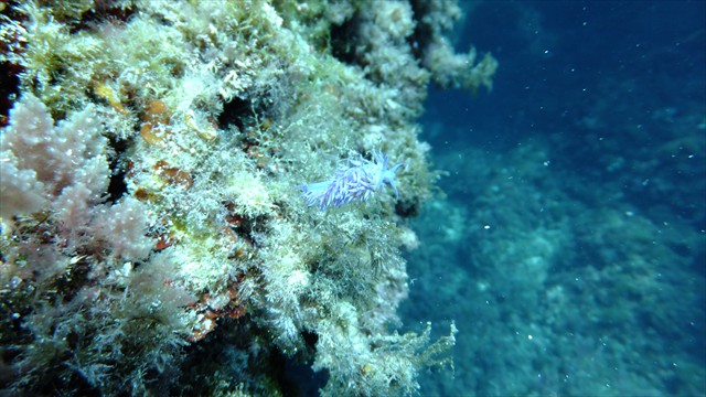 dscf1144