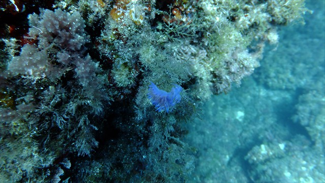 dscf1146
