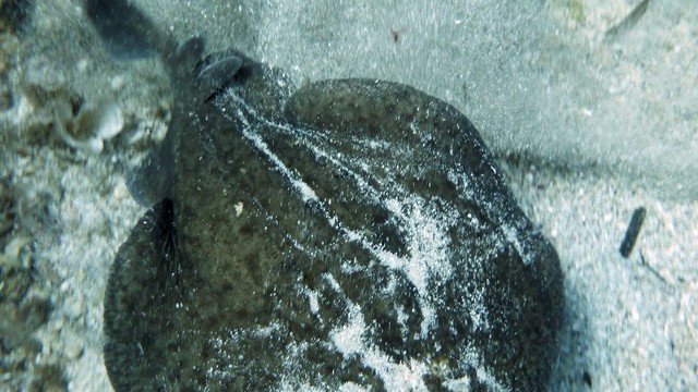 p1030184