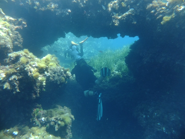 DSCF1686