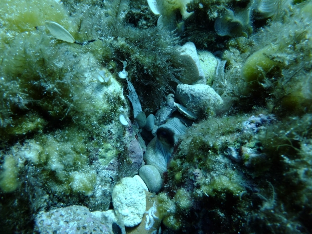 DSCF1689