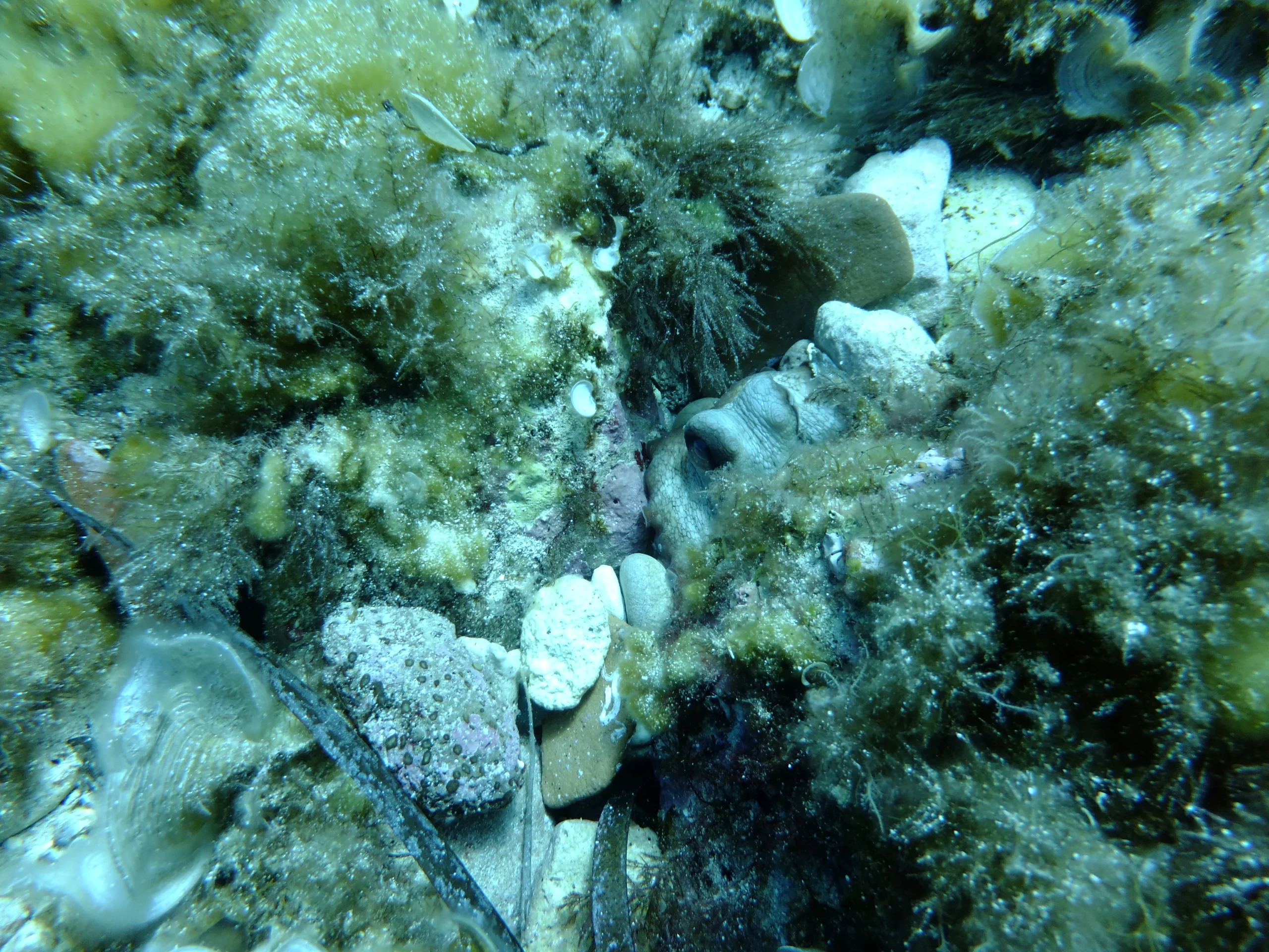 DSCF1691