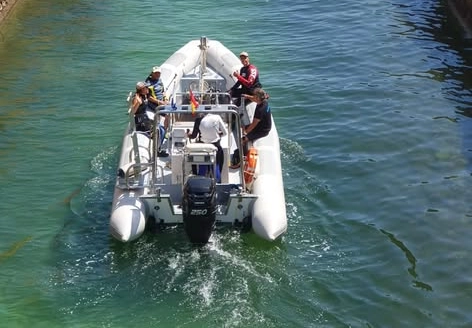 New RIB