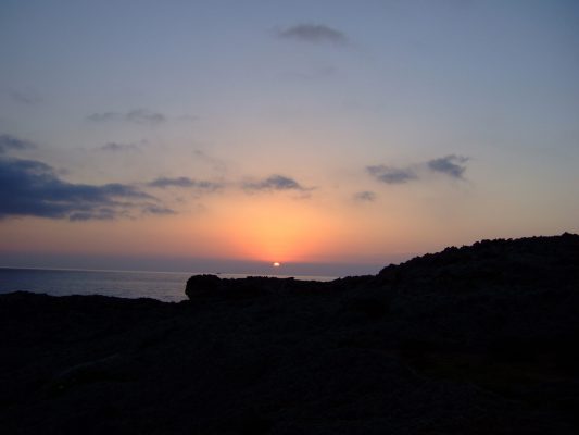 DSCF1374