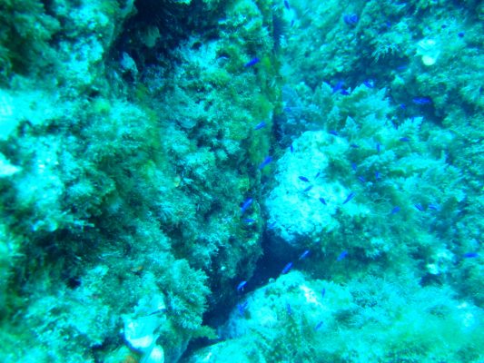 DSCF1382