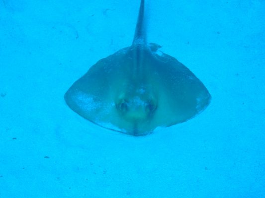 DSCF1389