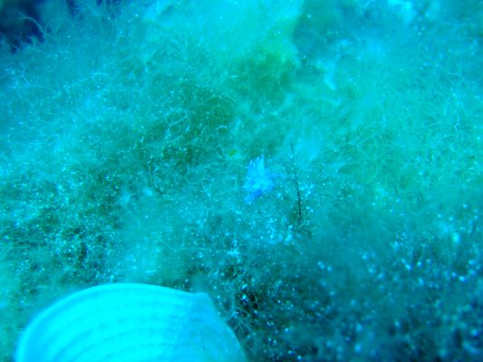 DSCF1397