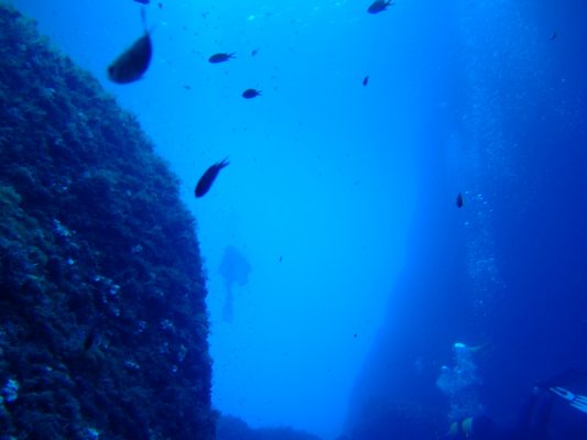 DSCF1398