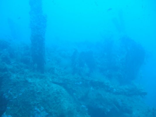 DSCF1704
