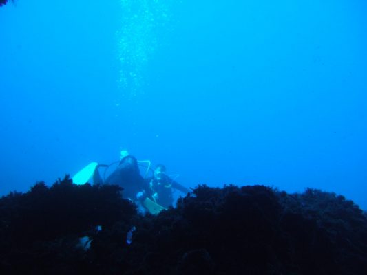 DSCF2092