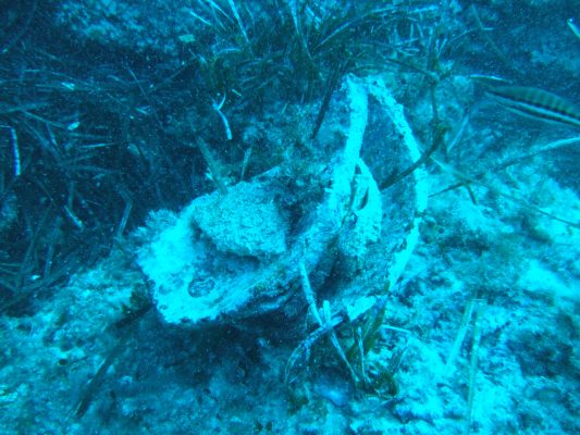 DSCF2227