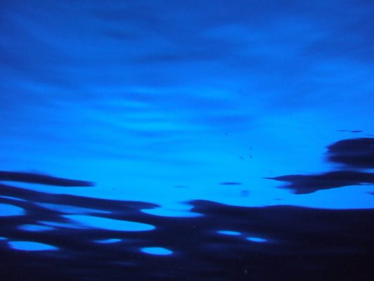 DSCF2294